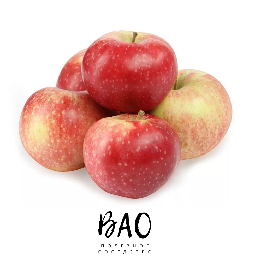 Яблоня суйслепское. Яблоки малинка, 1 кг. Сорт яблок малинка. Сорт яблок пинк леди. Яблоки айдаред, вес.