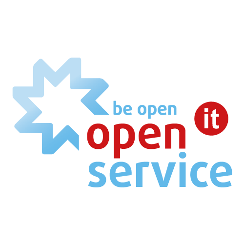 Open service сайты которые делали.