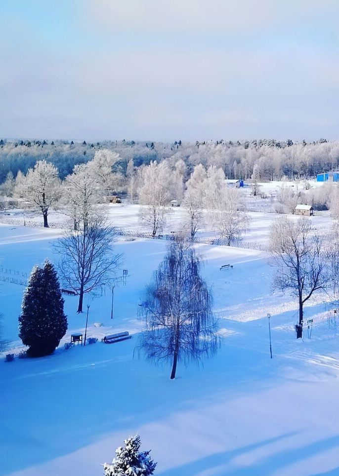 Софрино парк клевая усадьба