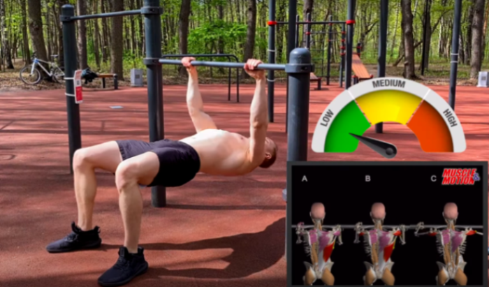 12 тренировок