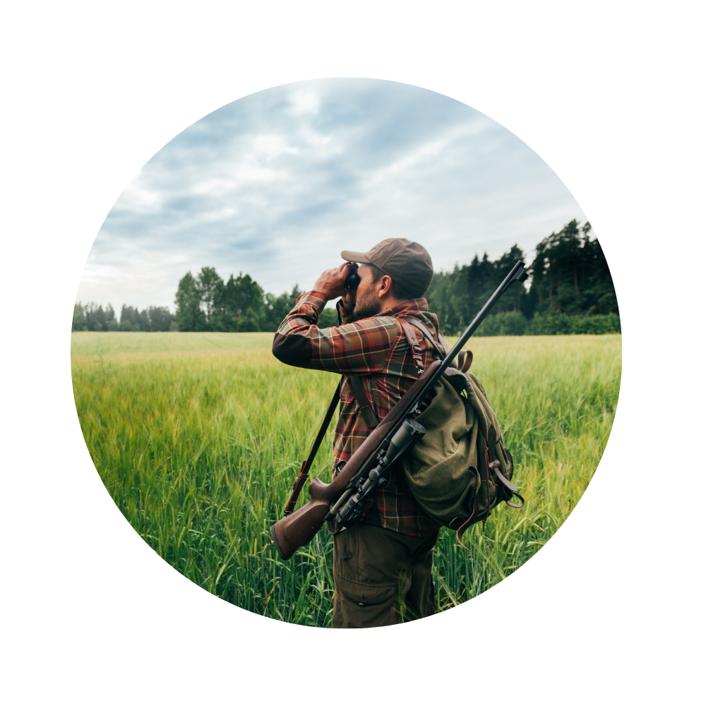 Аренда домов в Дорохово