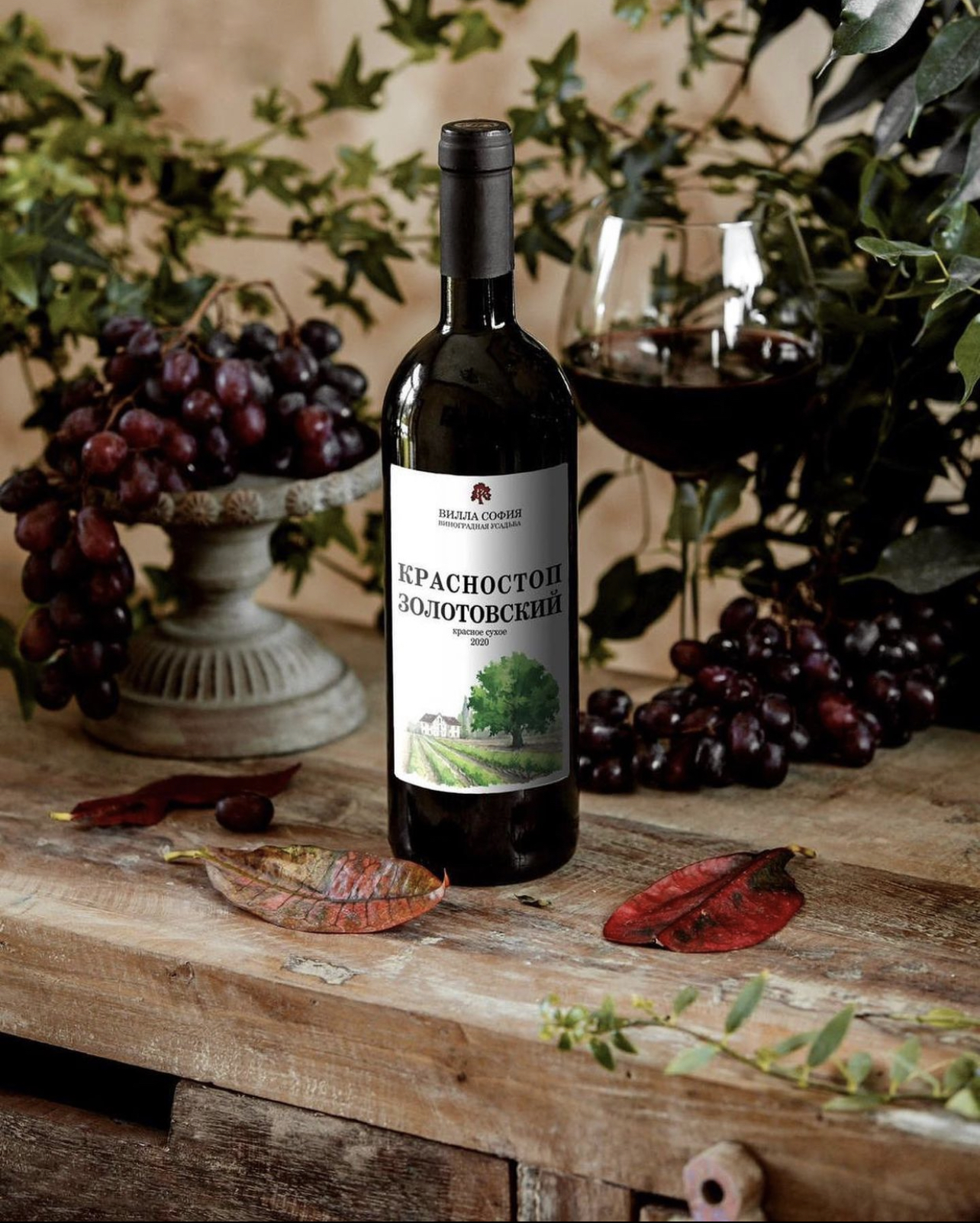 12 wine волгоград