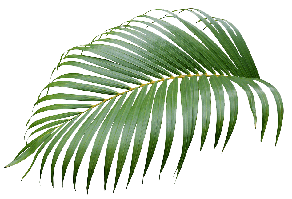 Отдых снять номер в Стрелковом