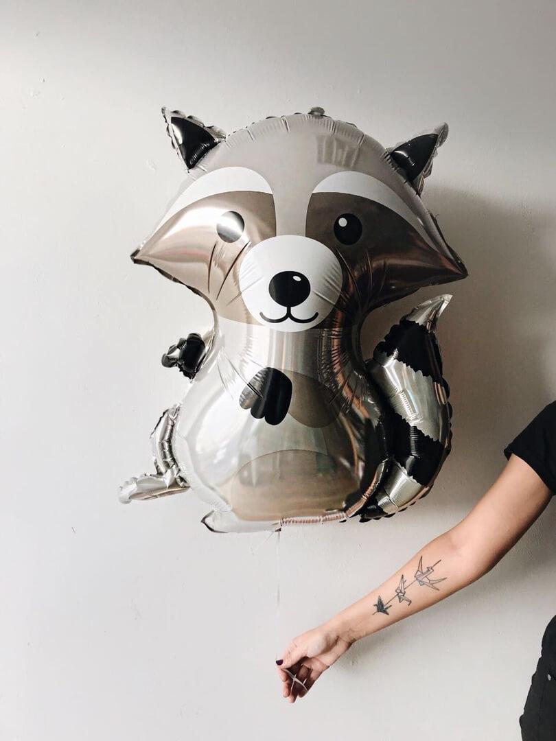 Лесной енот