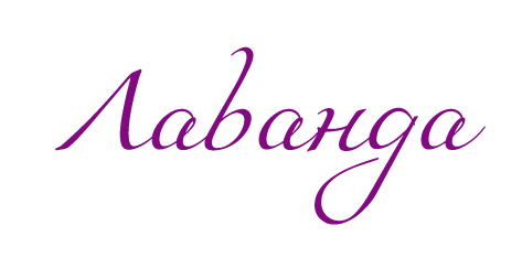 Company