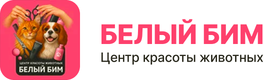 Company