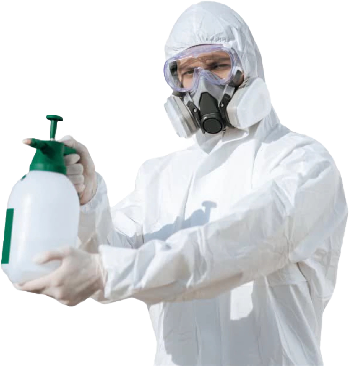 Уничтожение любых насекомых и грызунов в Москве