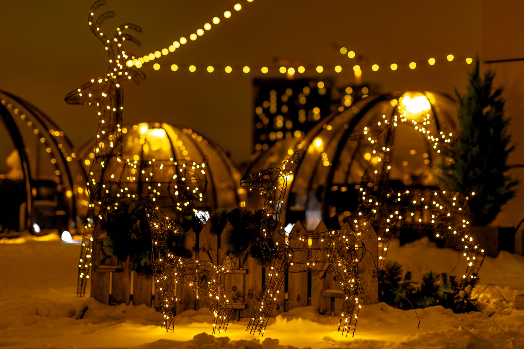 Иглубар Сахалин - официальный сайт