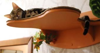 дизайнерские когтеточки для кошек