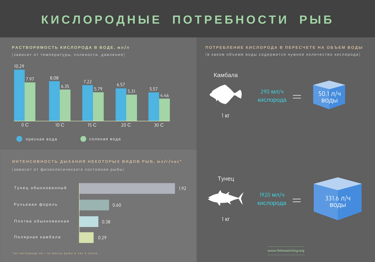 Кислород в сутки. Потребность рыб в кислороде. Потребление кислорода рыбой. Потребность рыбы в кислороде таблица. Сколько кислорода потребляет рыба.
