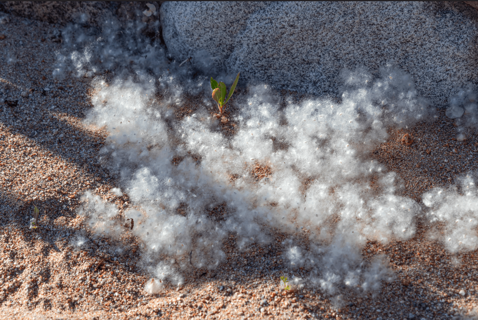 Звездная пыль в будущем – Угадай, что это