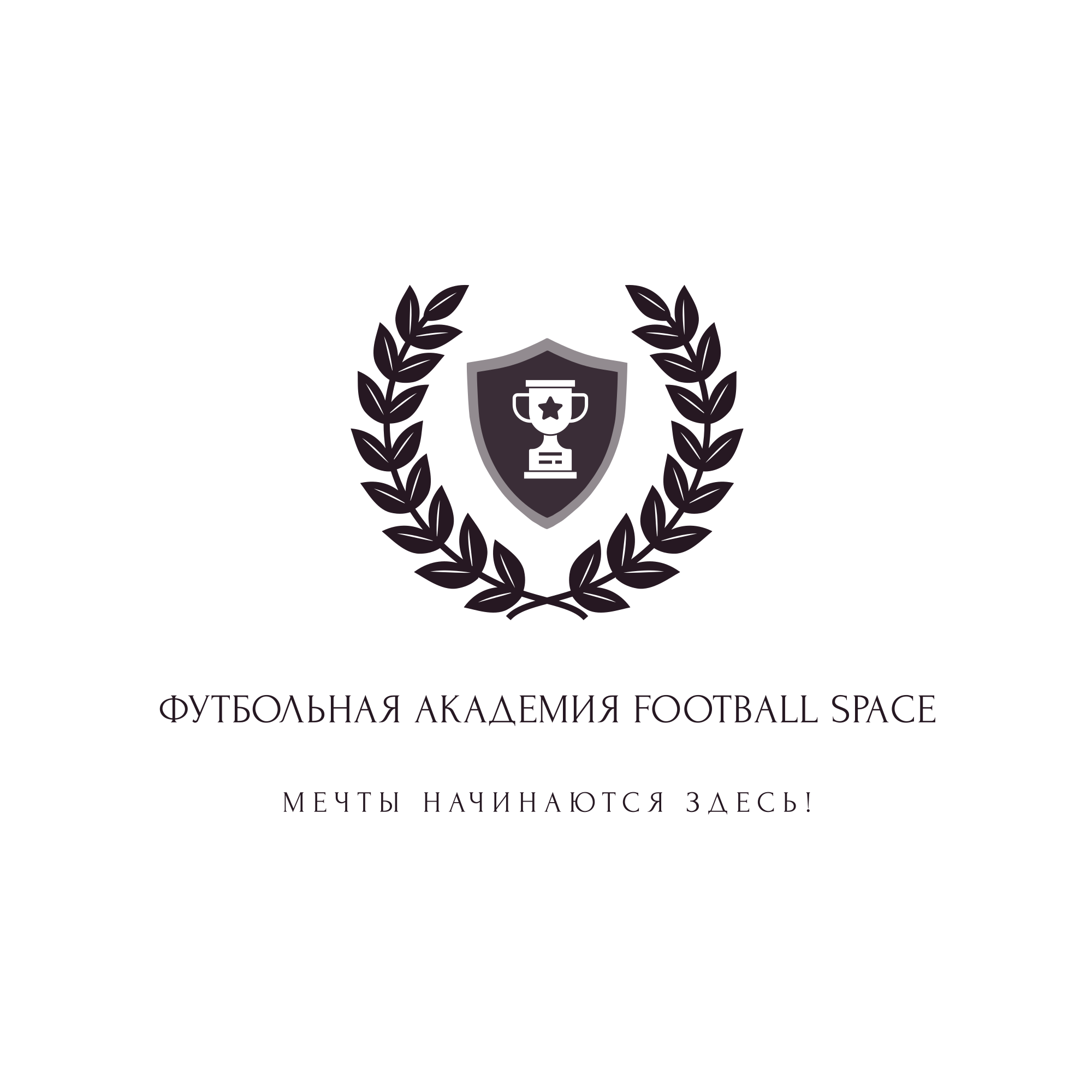 Футбольная Академия Football Space