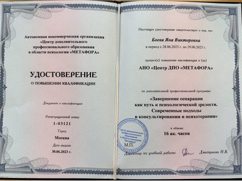 Дополнительный документ 6