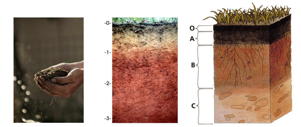 Почвенные горизонты рисунок