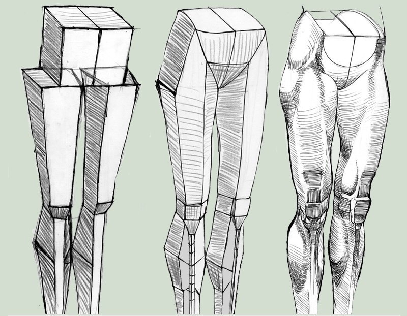 Как рисовать ноги? Анатомия для художника