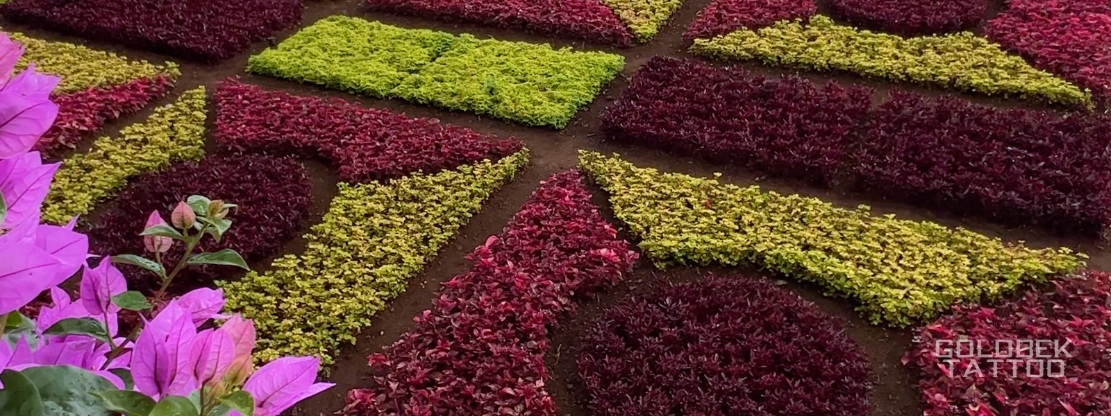 Jardim Botanico In Funchal