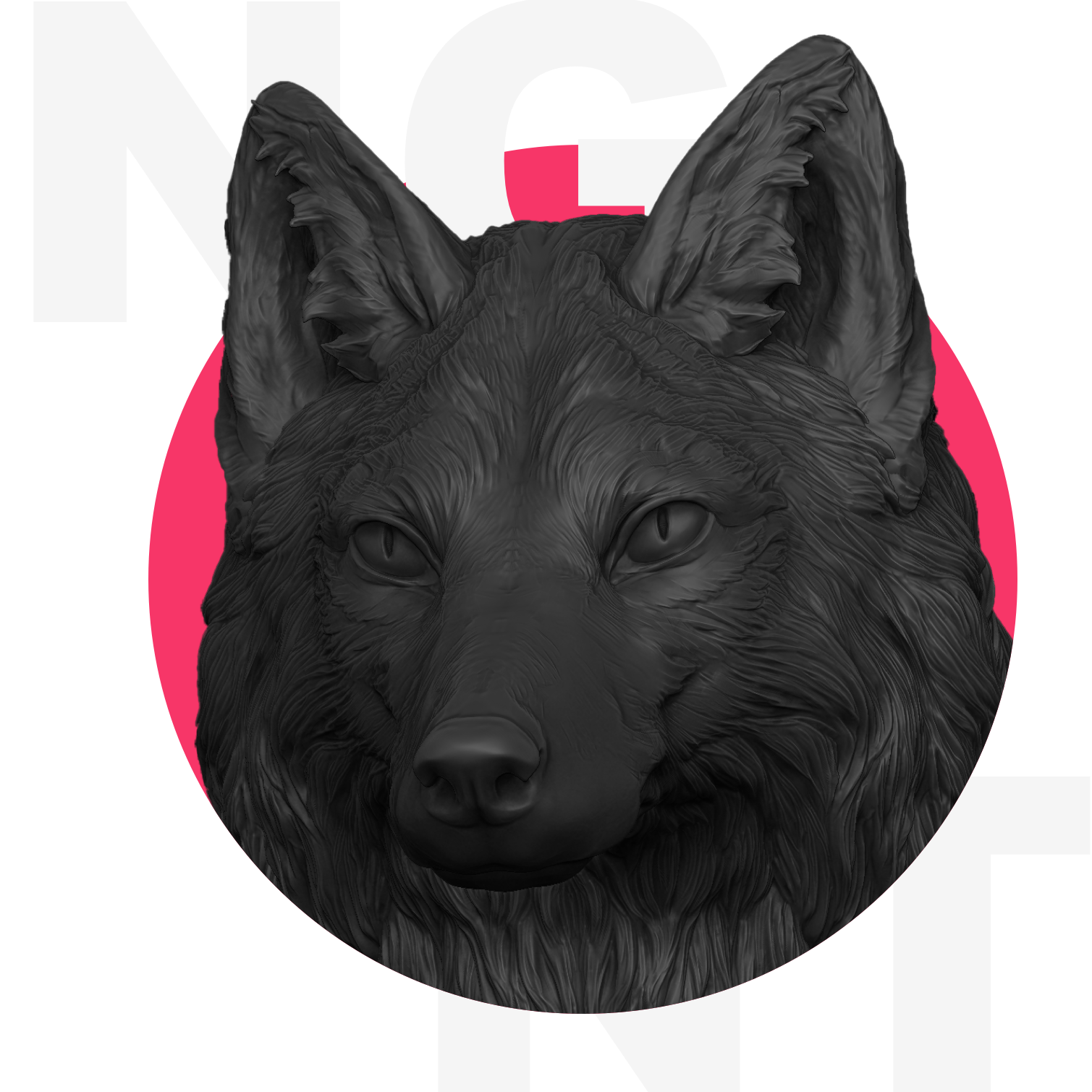 Сайт на тильде