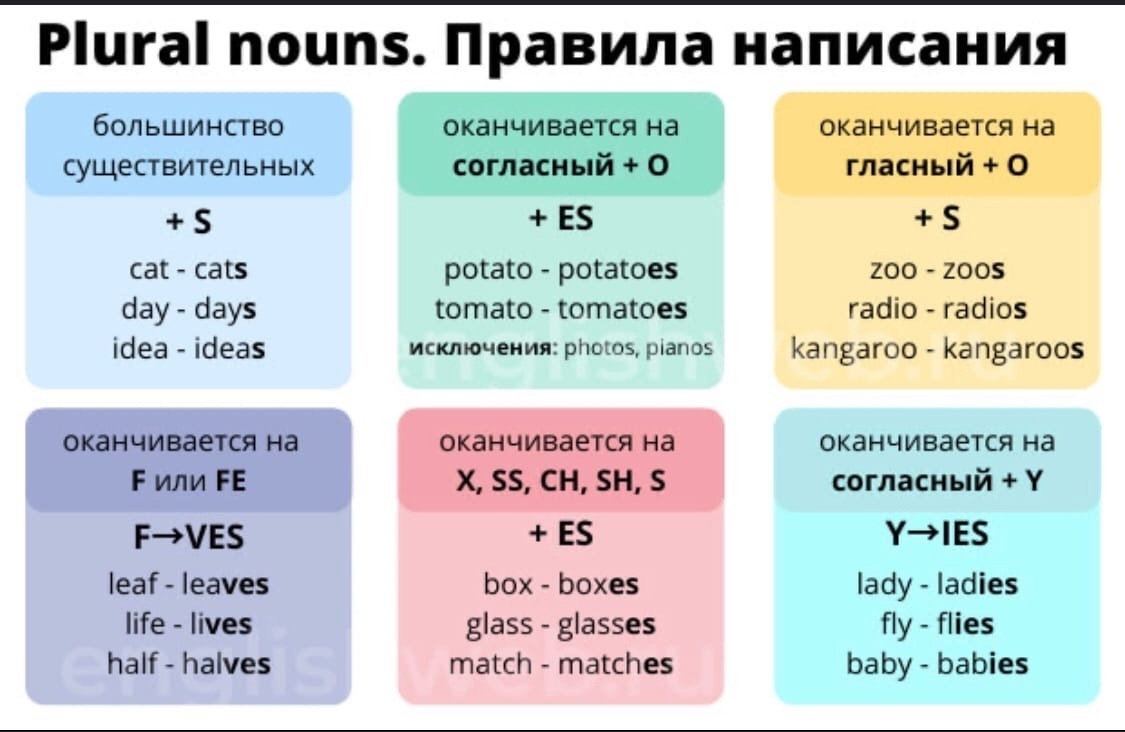 Образуй множественное число существительного. Правила формирования множественного числа в английском. Правило множественного числа в английском языке 5 класс. Правило написания множественного числа в английском. Правила по английскому языку множественное число.
