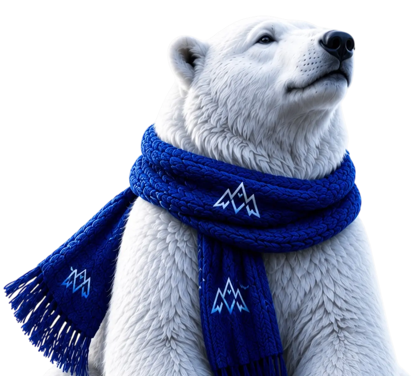 Абстрактная северная форма Alaska VPN на фоне полярного сияния