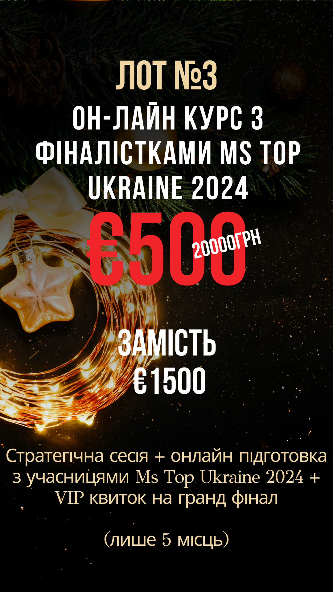 Он-лайн курс з фіналістками Ms Top Ukraine 2024