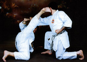 Hitoshi Kasuya (chief instructor of the World Shotokan Karate-do Federation)