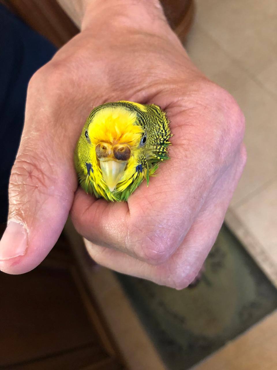 Реабилитация