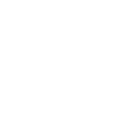 website icon
