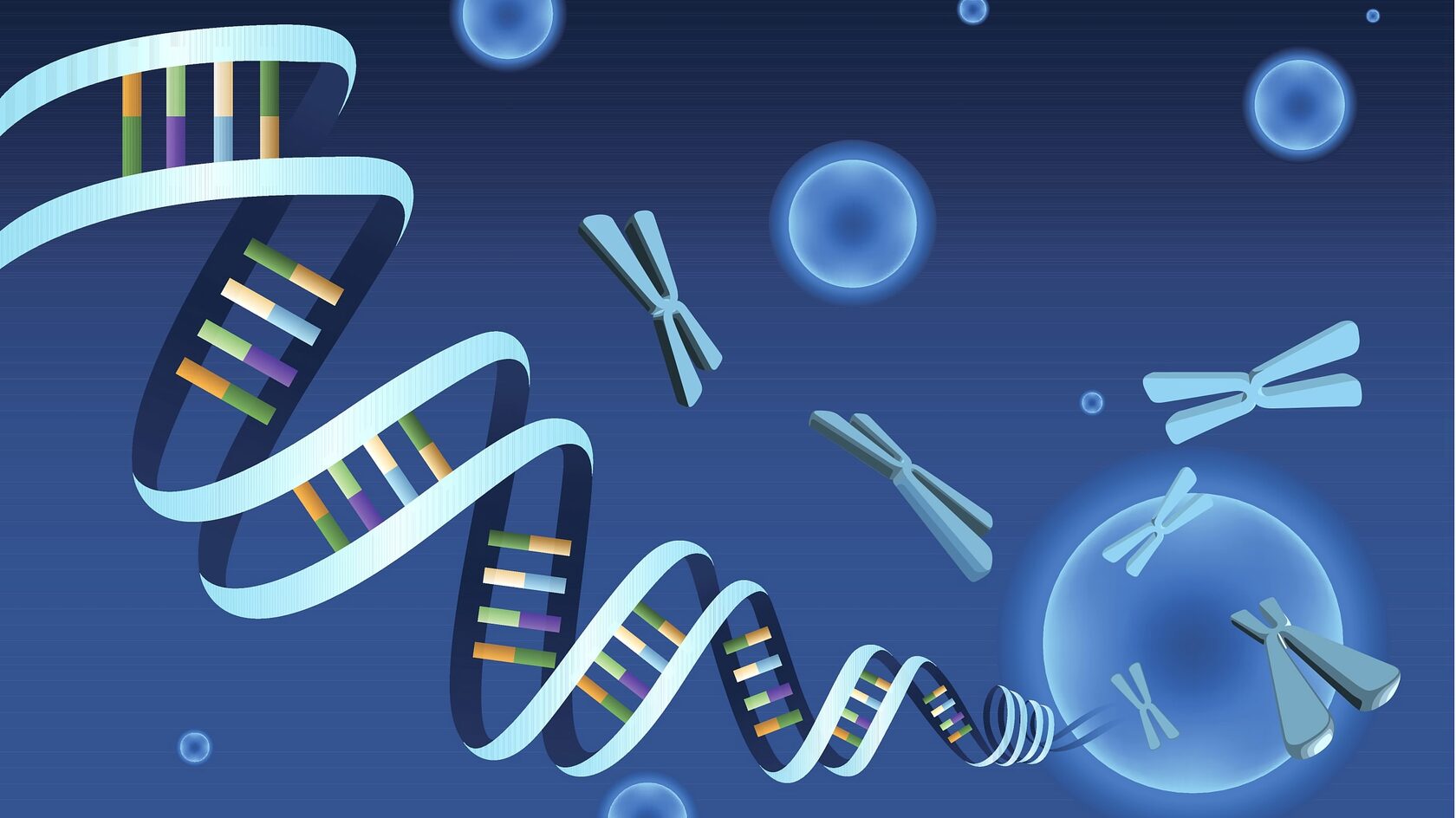 Электронный журнал «Наука и технологии» | Геном без белых пятен