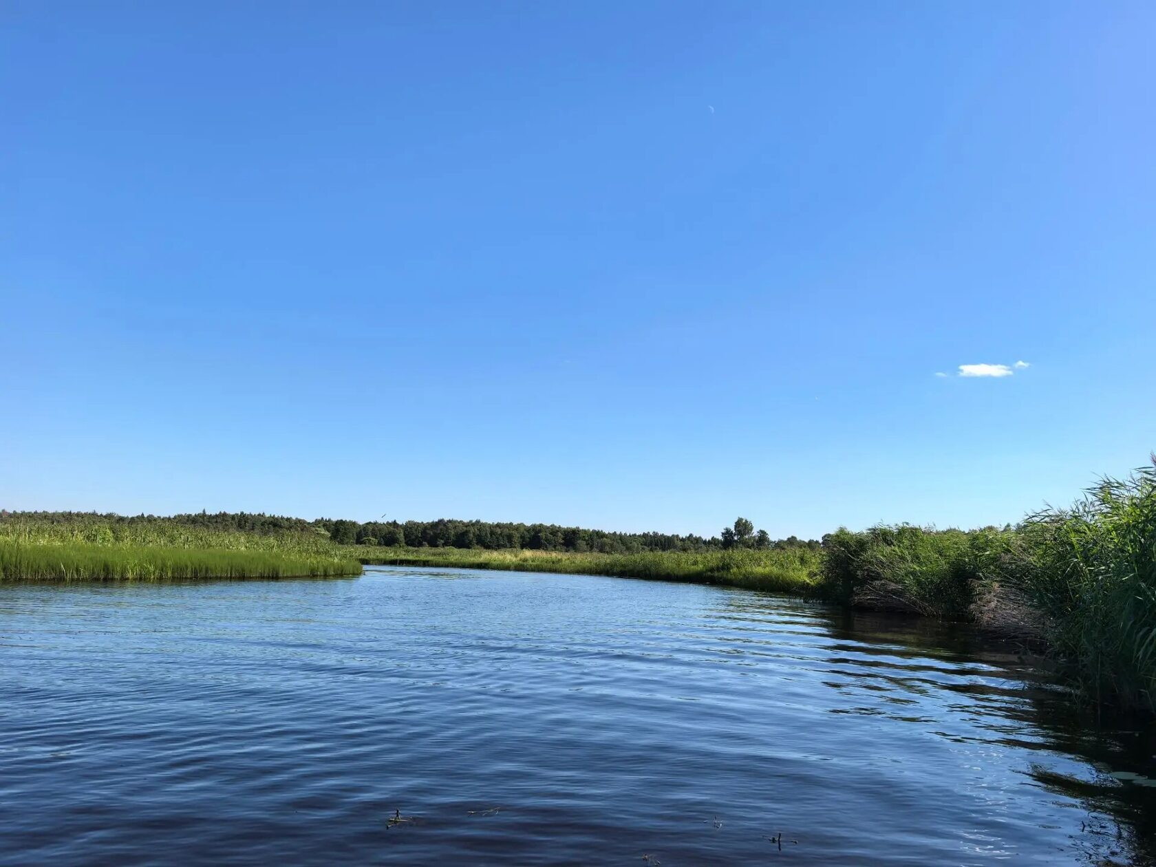 вода для системы автополива