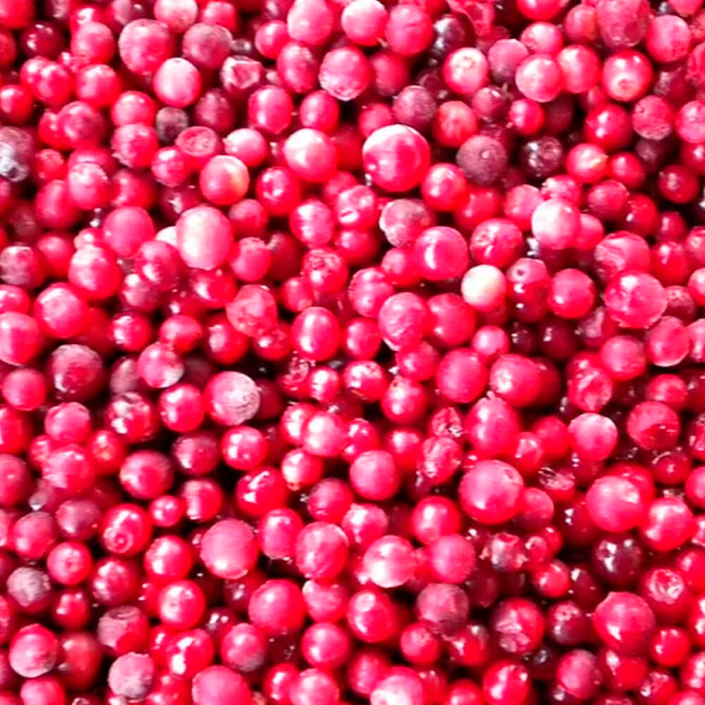 Клюква в ведре. Спелая брусника. Брусника ягода внутри. Клюква морошка моченая брусника. Сбор клюквы в беларуси 2022.