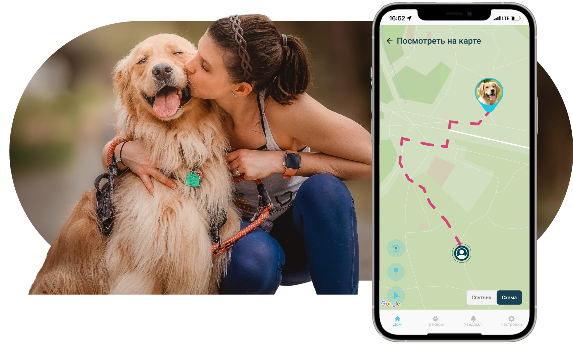 Petsee 4g. Джипиэс трекер для собак petsee. GPS ошейник для кошек. Petsee 4g Cats. Petsee GPS-ошейник, белый.