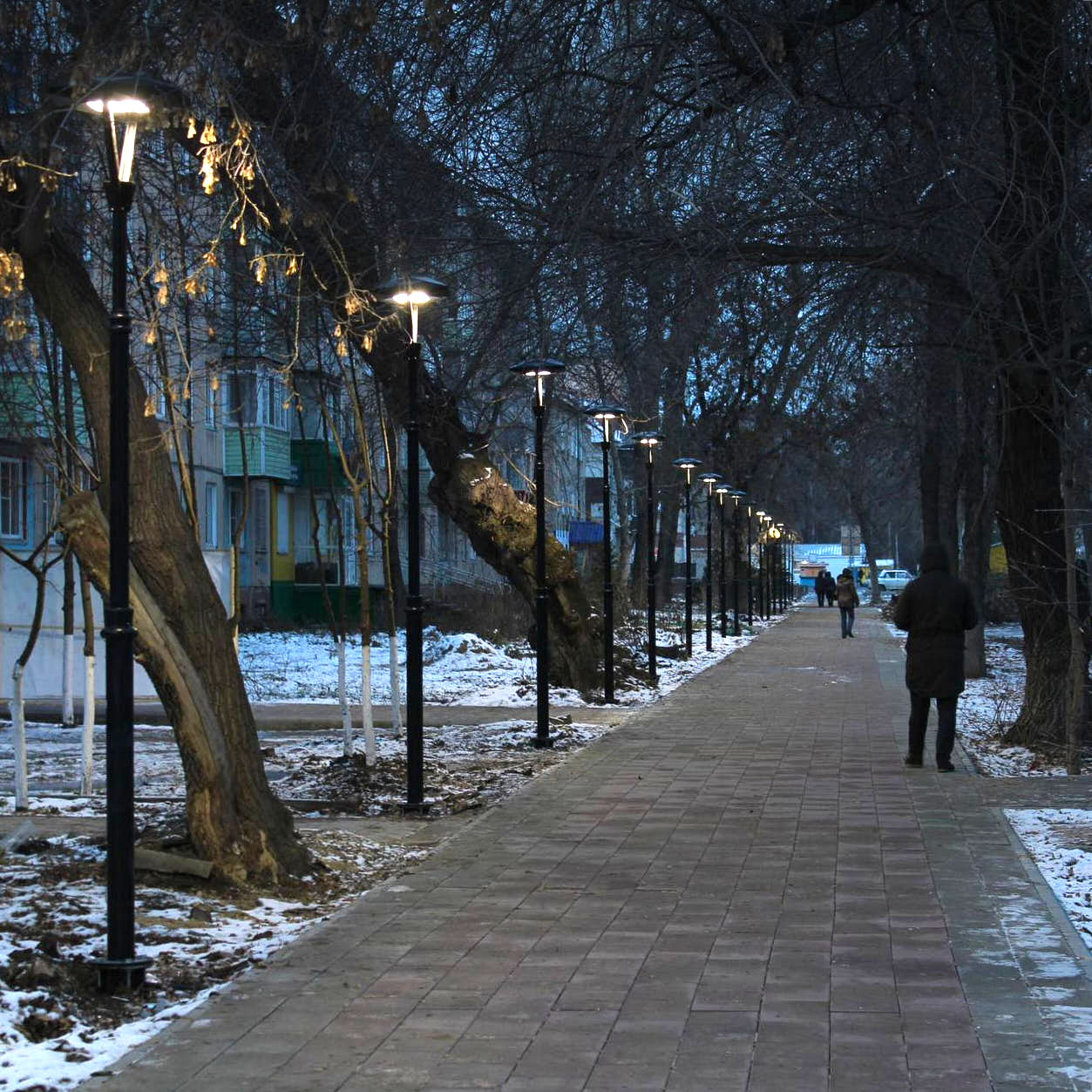 Парк аллея героев волгоград. Магадан новости 9 мая. Памятник ветеранам боевых действий. Участник аллея. Аллея славы в гольяново.