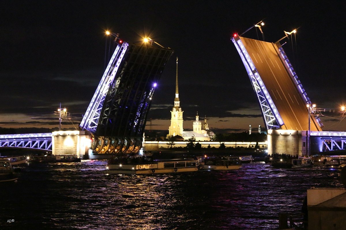 Дворцовый мост в санкт петербурге фото ночью