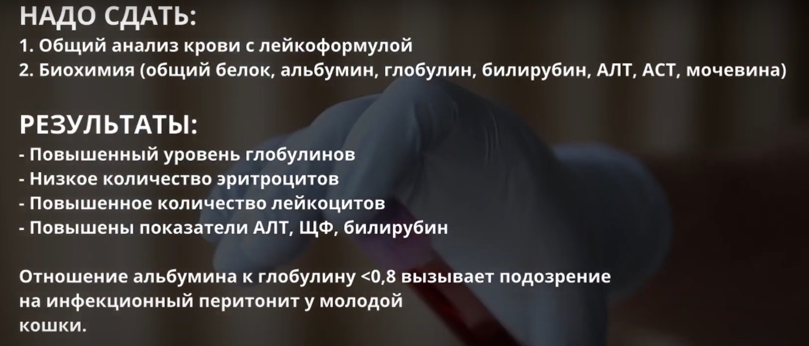 Анализы при подозрении на FIP