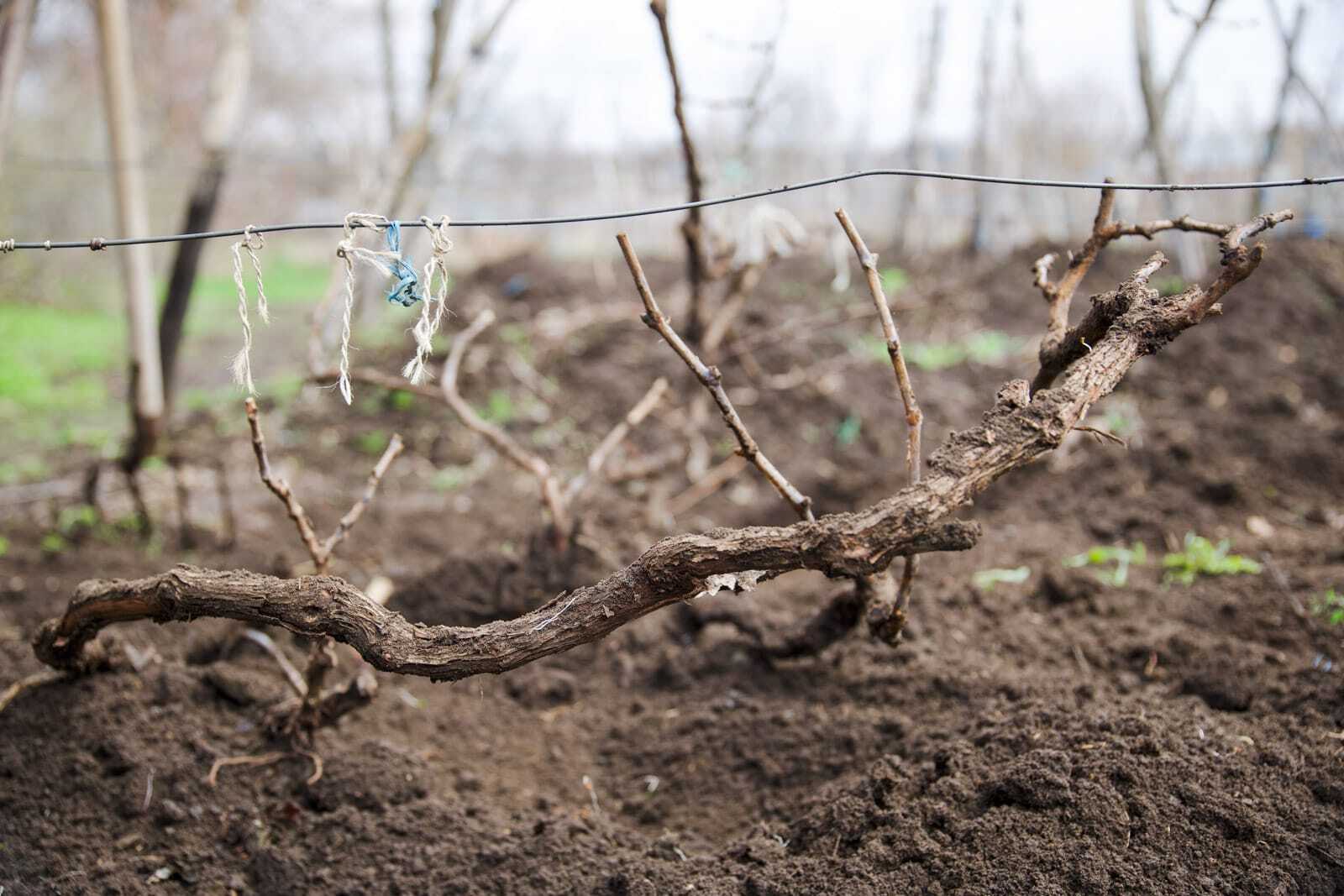 Экспедиция Золотые горки. Дорогами донских автохтонов