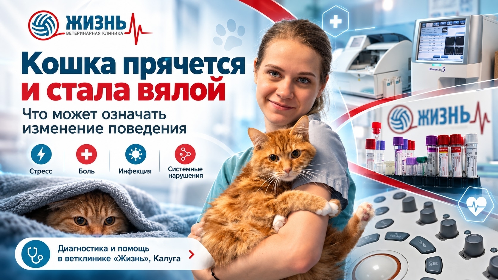 кошка прячется и вялая: признаки, диагностика и помощь питомцу — ветеринарная клиника «Жизнь»
