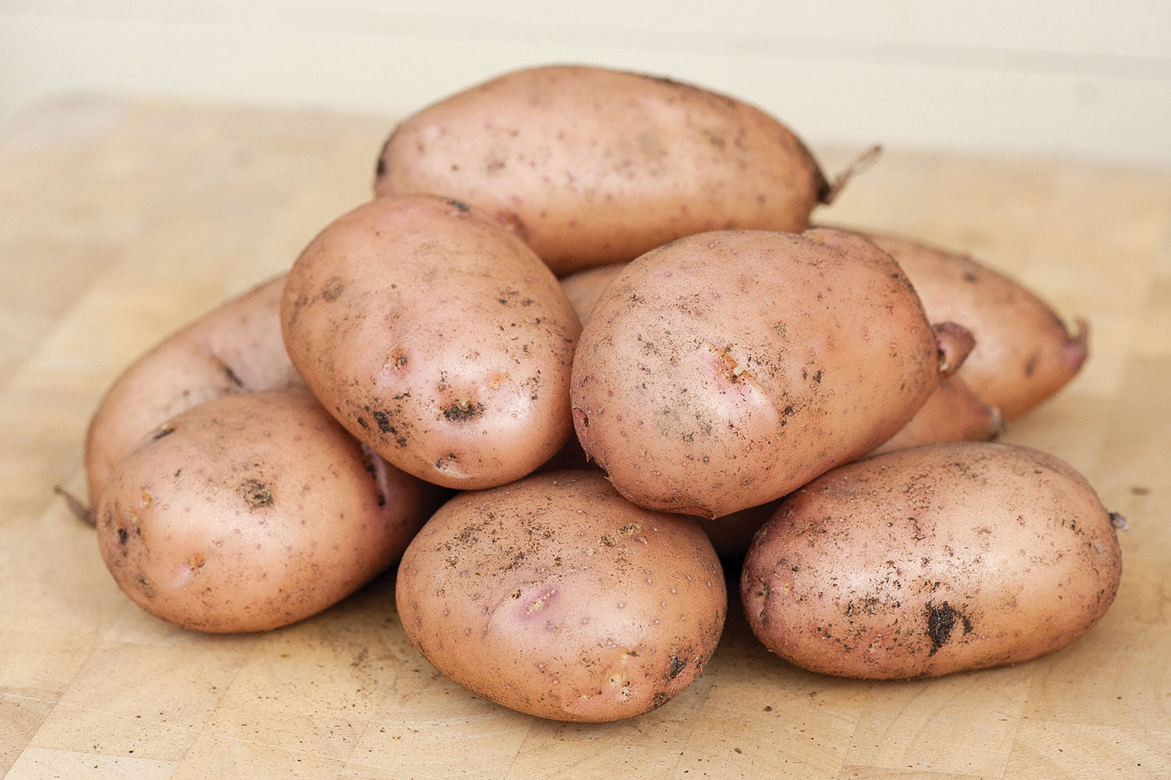 новинки сортов картофеля