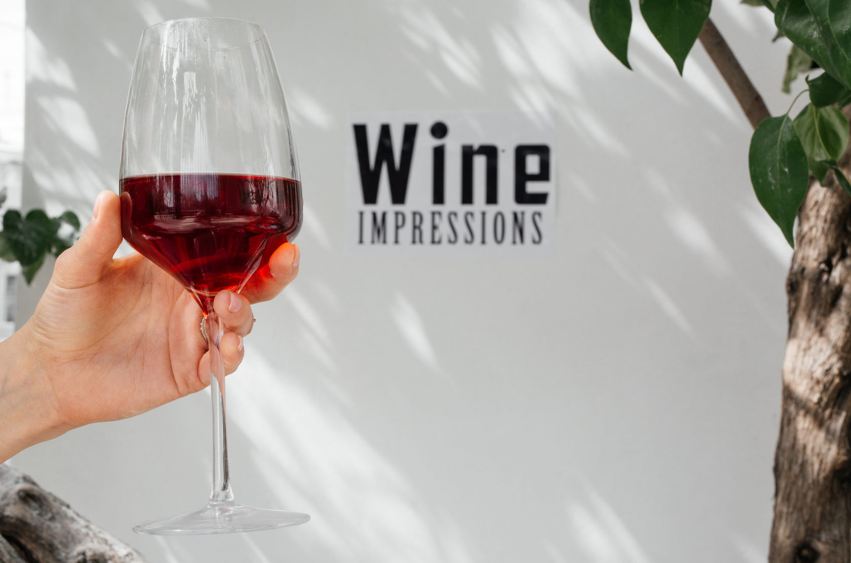 Wine Delivery and Food Catering, South Florida