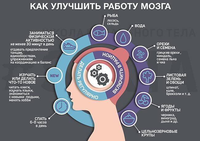 Как улучшить работу мозга