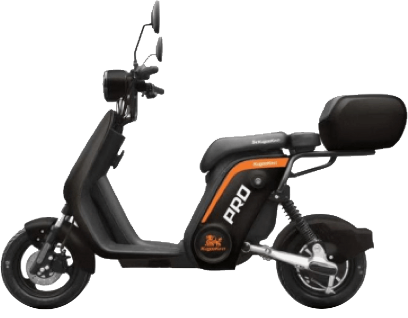 Kugoo V Pro