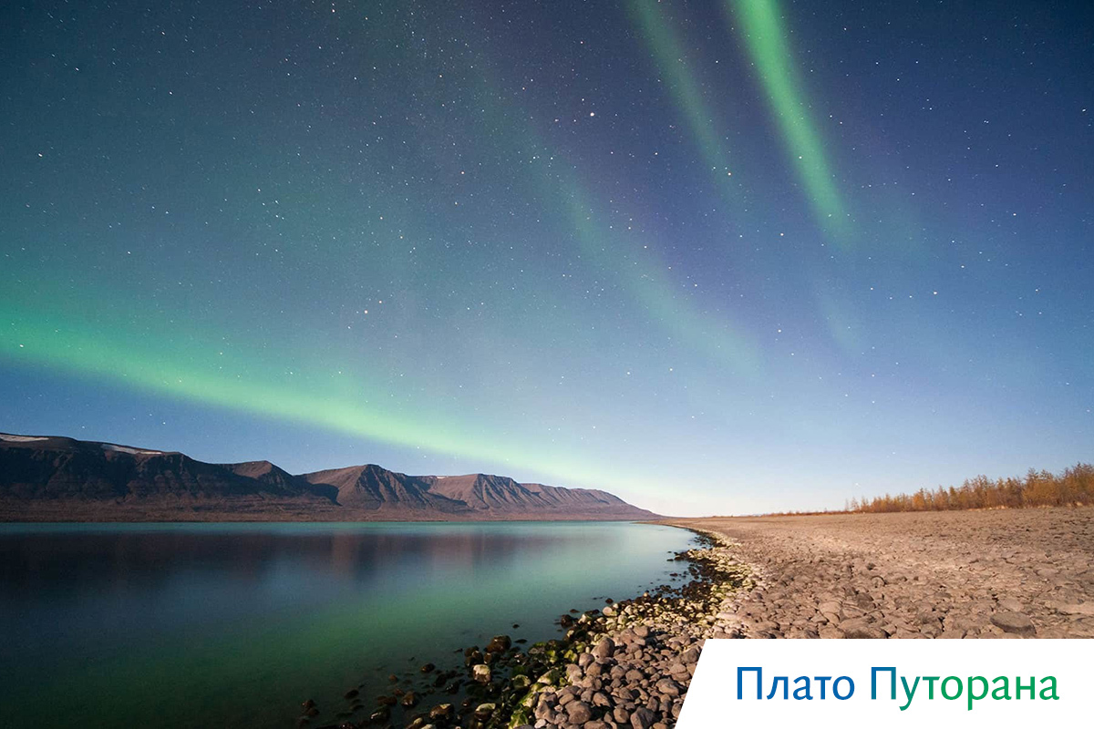 киты в охотском море