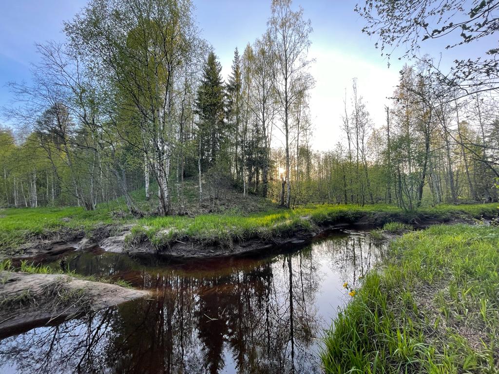 Гостевой дом рядом с городом. Снять дом недалеко от Игоры.