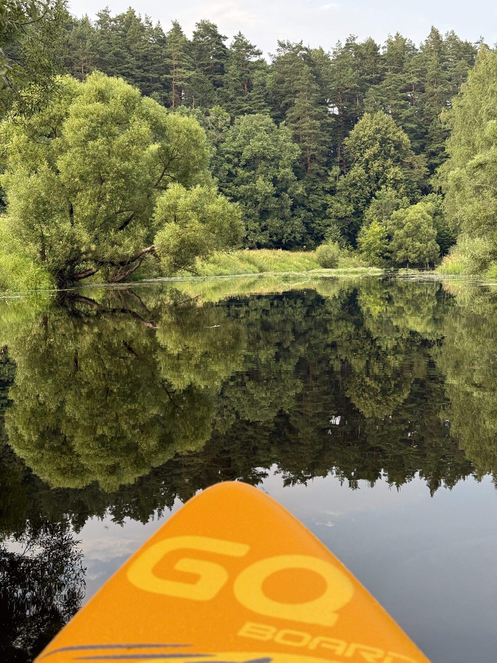 Сапбординг