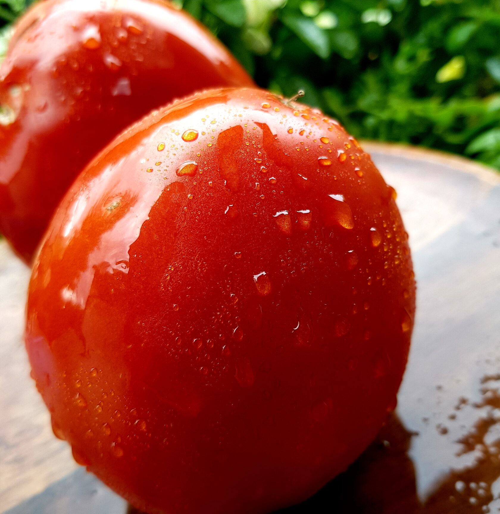 Минусинские шары описание. Шары Минусинские красные. Черри индет красно оранжевый сорта. Фото томаты сердцевидный оранжевый.