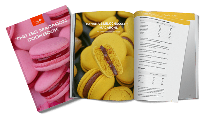 The Big Macaron book