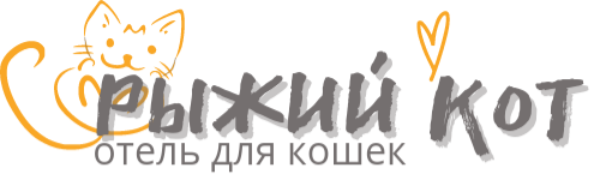 РЫЖИЙ КОТ