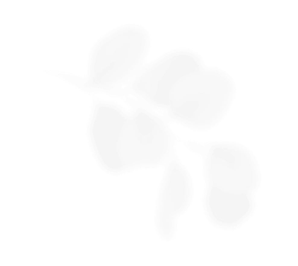 натуральная косметика, магазин профессиональной косметики, крем для ног, крем для ног с мочевиной, крем для ног купить, масло для ногтей, масло монарды для ногтей, масло для ногтей купить, косметика для ногтей, дезодорант для ног