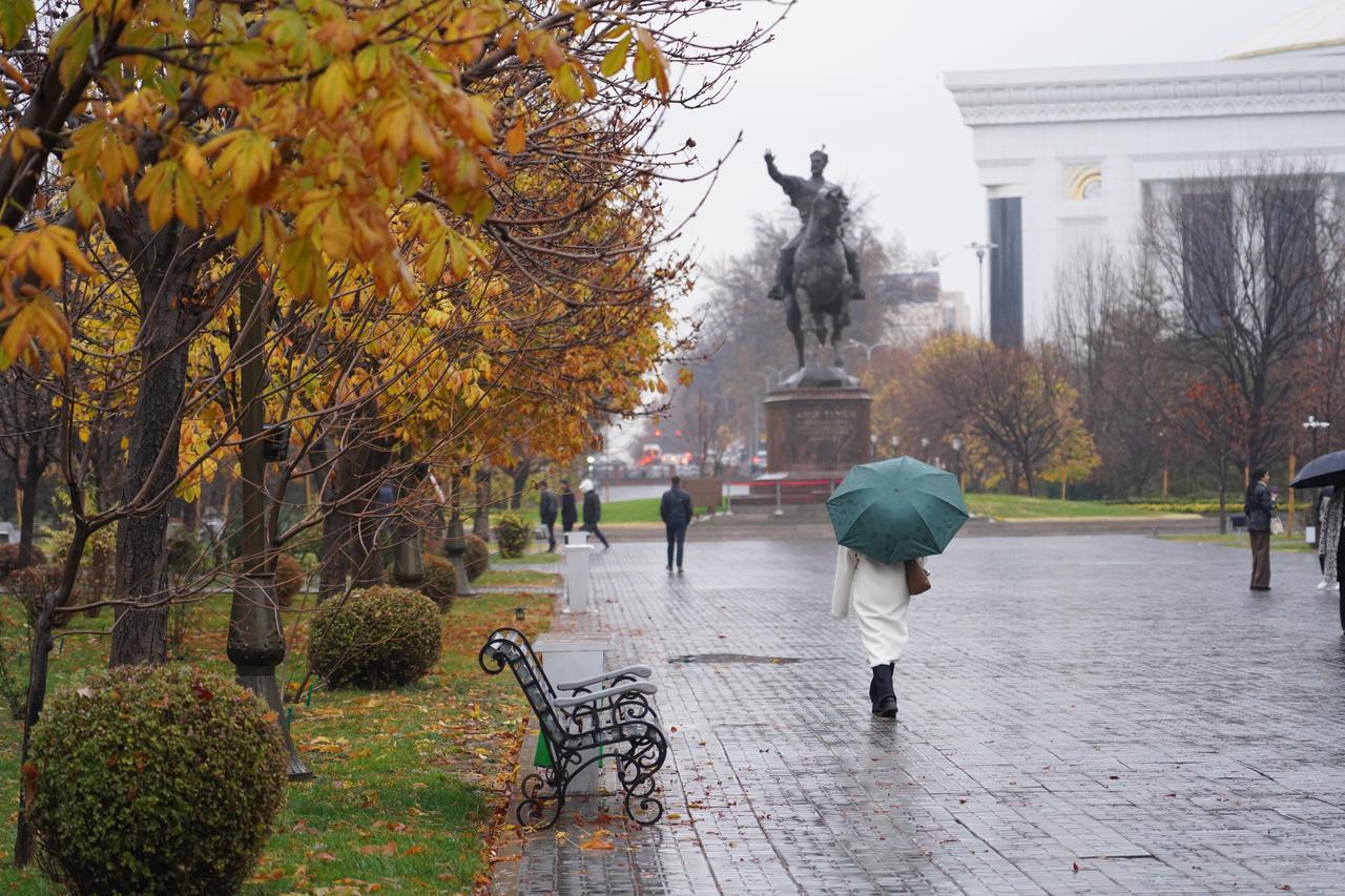 Autumn in Uzbekistan, Tashkent