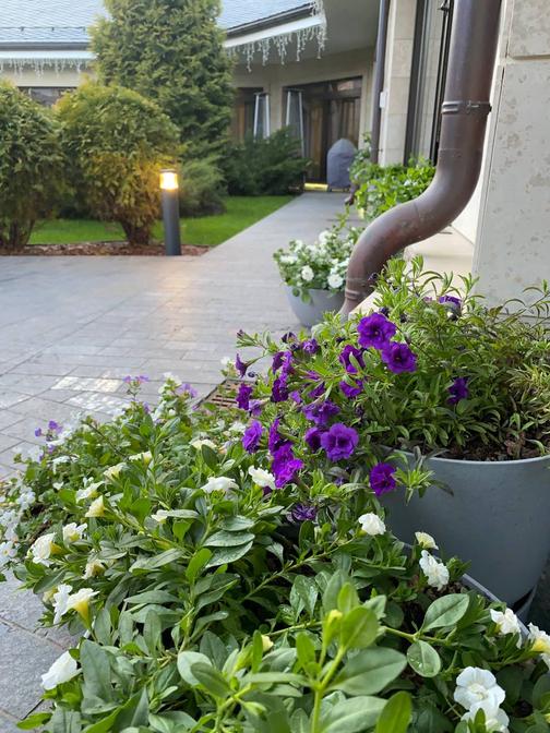 Озеленение террас в Москве | MIGARDEN