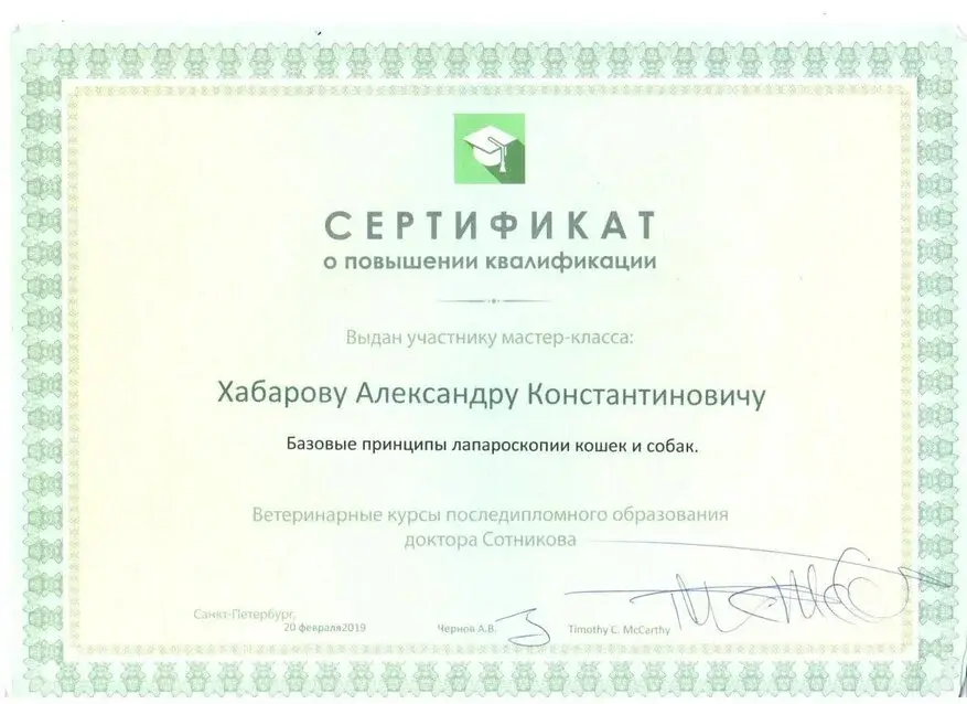 Сертификат 7 Хабарова А.К.